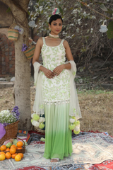 Ivory-Green Ombre Sharara Set