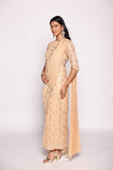 Beige  Concept Saree