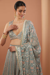 Grey Organza Tissue Hand Embroidered Lehanga Set