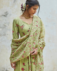 Pista Green  Kurta Set