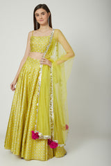 Embroidered & Printed Yellow Lehenga Set