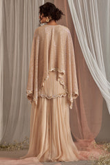 Organza Champagne Sharara Set