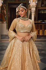 Banarasi Chanderi Lehenga