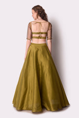 Rust  Olive Lehenga Set