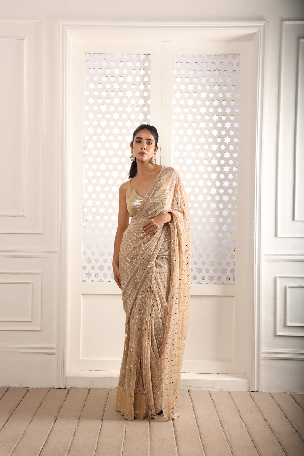 Silver Lining Champagne Saree