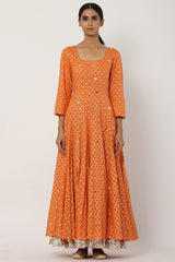 Paneled Orange Kalidar Anarkali Set