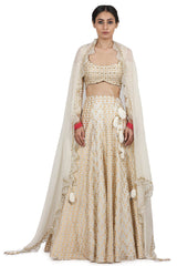 Printed Lehenga Set In Ivory