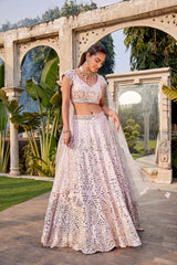 Baby Pink Mirror Embroidered Choli, Lehenga And Dupatta Set