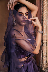 Amethyst Purple Ruffle Sari