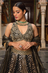 Banarasi Chanderi Lehenga